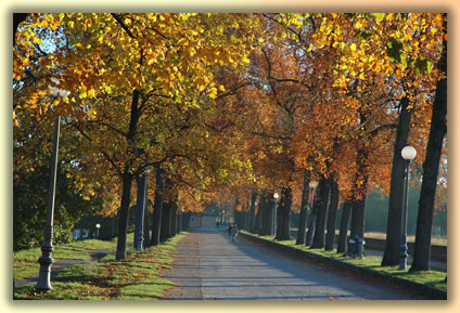 Landscapes Versilia