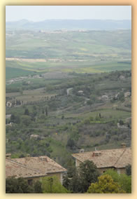 Landscapes of Tuscany - Montalcino - photo by Luca G.