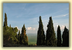 Landscapes of Tuscany - Montalcino - photo by Luca G.