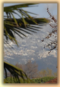 Landscapes of Tuscany Versilia - photo by Luca G.